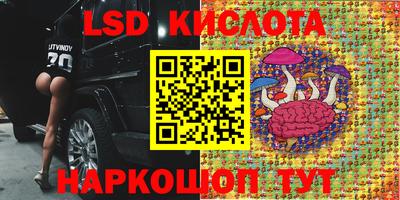 spice Пенза