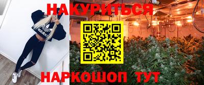 spice Пенза