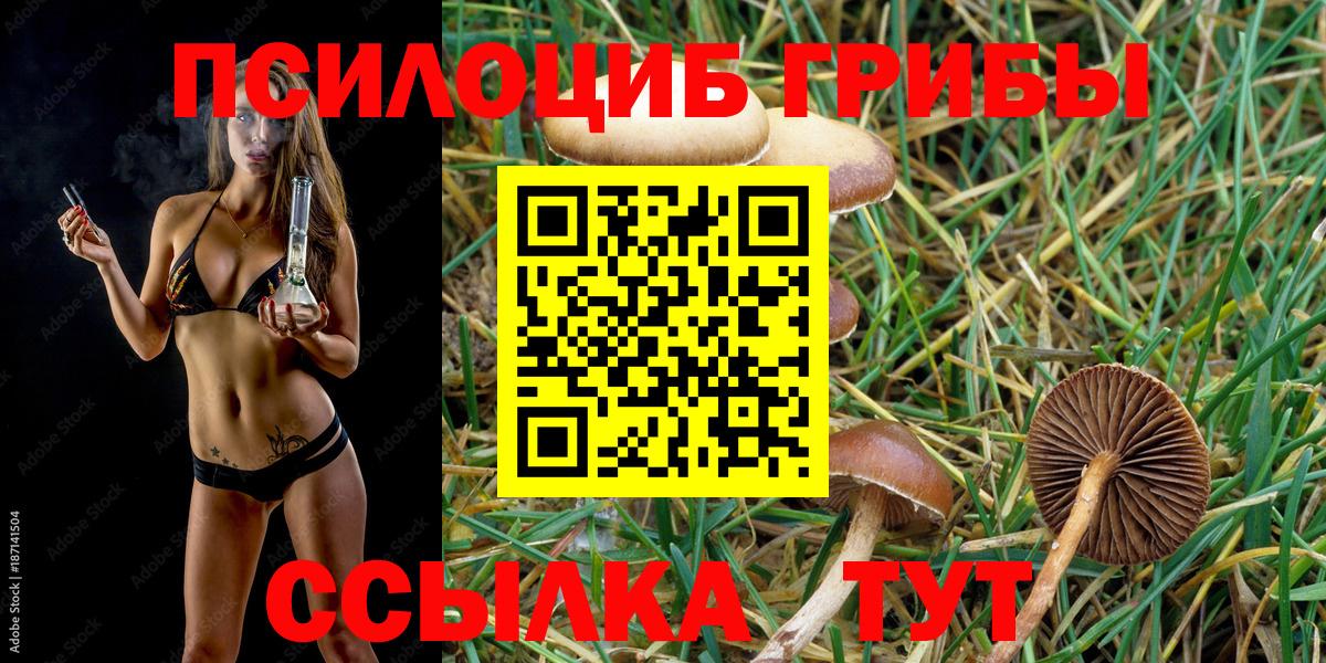 Псилоцибиновые грибы GOLDEN TEACHER Серпухов