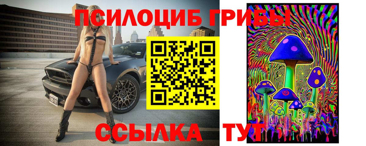 Серпухов  Галлюциногенные грибы Psilocybine cubensis  Псилоцибиновые грибы GOLDEN TEACHER  Вход с VPN 